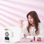 4L Mini Makeup Fridge WIth LED Light Mirror Portable Cosmetic Storage Refrigerator Keep fresh Cooler for Home Car Dual Use - Image 3